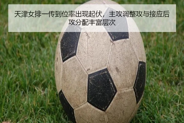 天津女排一传到位率出现起伏，主攻调整攻与接应后攻分配丰富层次